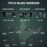 Epidemiological Parameters in Malaria