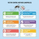 Procedure of blood smear collection 