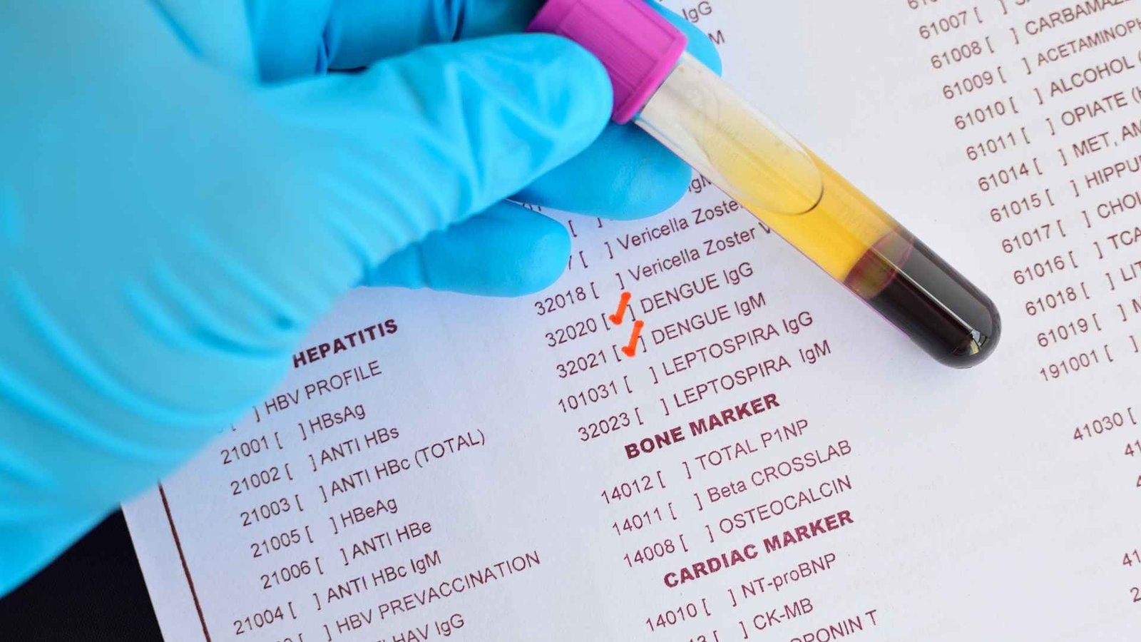 Transovarian transmission of dengue virus