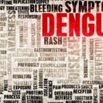 Transovarian transmission of dengue virus