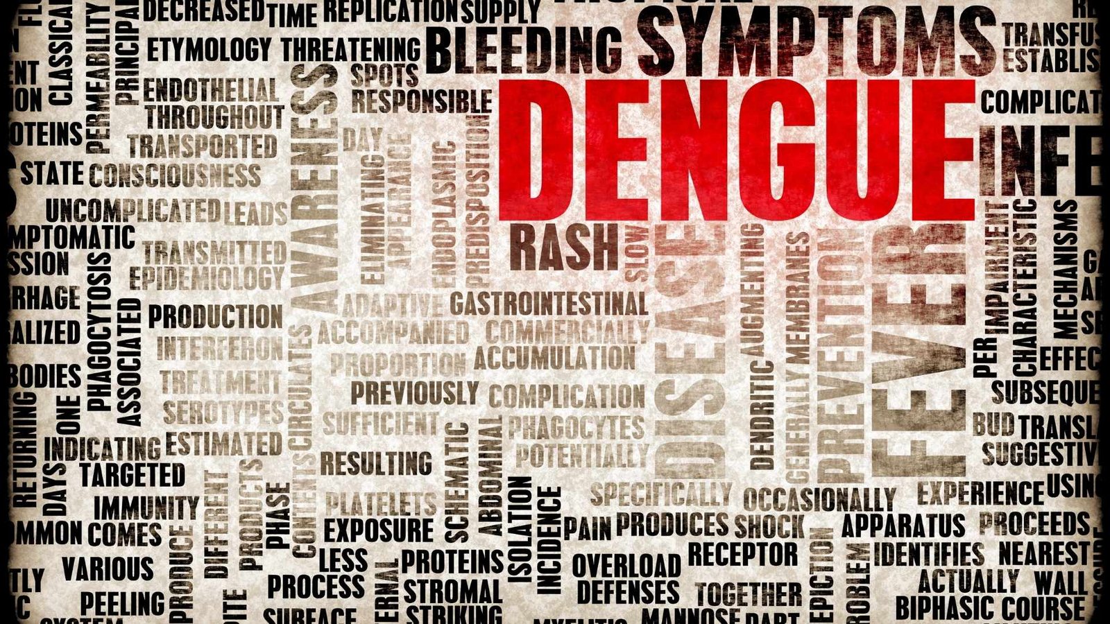 Signs and Symptoms of Dengue Fever