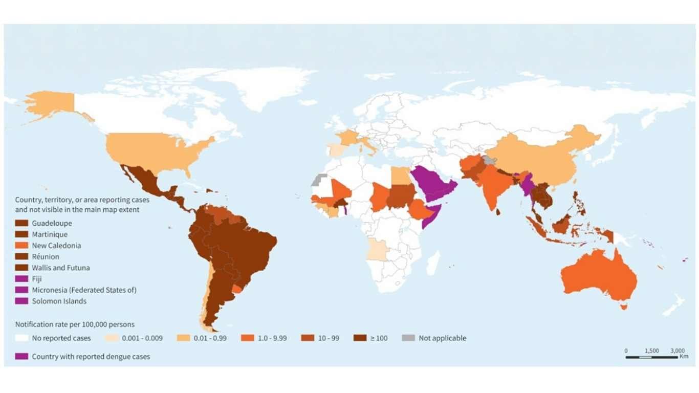 Magnitude of the Dengue Problem: Global Overview