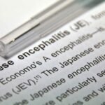 Life Cycle of Japanese Encephalitis Virus