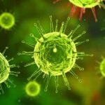 Key Structure Of Chandipura Encephalitis Virus (CHPV)