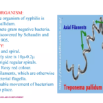 Trichomoniasis: Symptoms, Diagnosis, Treatment and Prevention