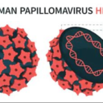 Structure and Life Cycle Of Human Papillomavirus (HPV)